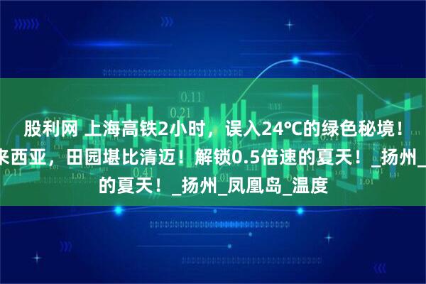 股利网 上海高铁2小时，误入24℃的绿色秘境！野趣不输马来西亚，田园堪比清迈！解锁0.5倍速的夏天！_扬州_凤凰岛_温度