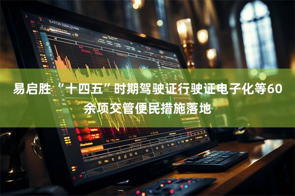 易启胜 “十四五”时期驾驶证行驶证电子化等60余项交管便民措施落地