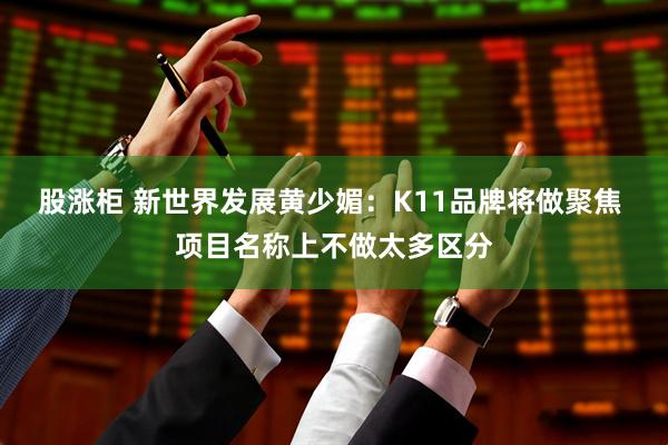 股涨柜 新世界发展黄少媚：K11品牌将做聚焦 项目名称上不做太多区分