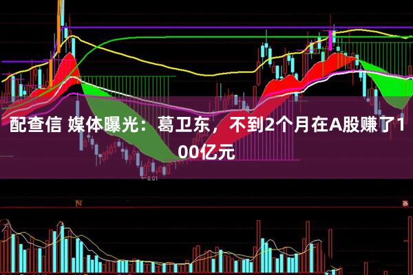 配查信 媒体曝光：葛卫东，不到2个月在A股赚了100亿元